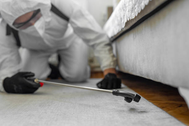 Professional Bed Bug Control technician working in Charleston, MS