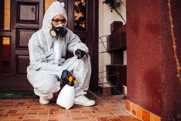 Reliable Bed Bug Control contractor in Charleston, MS by Nex Pest Control