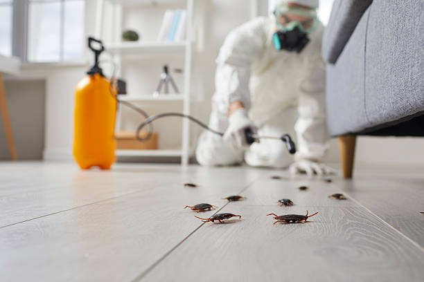 Affordable Bed Bug Control solutions in Charleston, MS