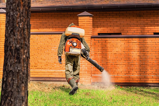 Top rated local Bed Bug Control specialists in Charleston, MS